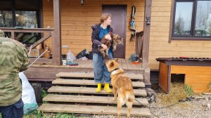 Шебутная троица, пустеющие клумбы и похорошевший пёс