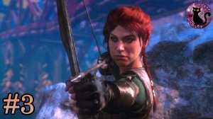 Rise of the Tomb Raider 20 Year Celebration (2016) - Двойница #3