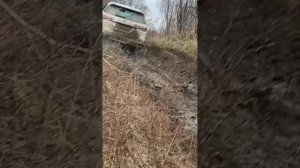 Пихтовый гребень 2025 НОЯБРЬ