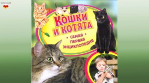 Кошки и котята. Самая первая энциклопедия