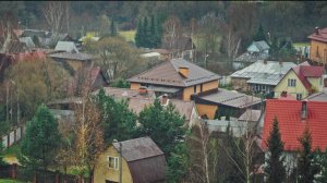 Осеннее настроение - навеянное Середневским лесом и жителями улицы братьев Бромлей