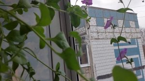 Наконец ВСЁ! Что читаю, что вяжу. ВЛОГ