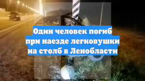 Один человек погиб при наезде легковушки на столб в Ленобласти