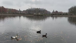 Парк в замке Нордкирхен 9.11.25