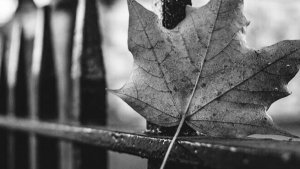 💥 Где Он ⁉️ 🫣 С кем Он⁉️ Что происходит в Его жизни 🤔 
#гаданиенаотношения#гадаемналюбовь