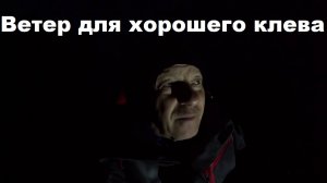 Ветер и давление для хорошего клева. Выйдет ли трофей....