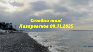 Лазаревское сегодня, 09.11.2025.