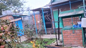 869 Живём Год в станице на юге Не нужно нас провоцировать Мы сами всё расскажем