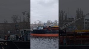 1000004557.mp4Волга.09.11.2025г.