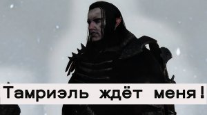 Эредин в Скайриме. Ответ Цири