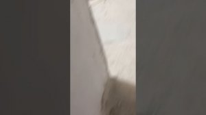 Делаем новую электропроводку по полу, квартира 60 кв/м.