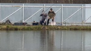 Поимки продолжаются