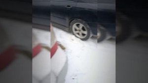 Субару брат