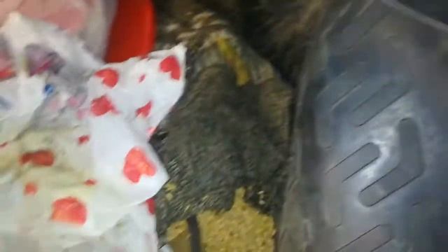 Ваз-2110 странная Находка в багажнике приехали колёса и переобуть смотреть онлайн