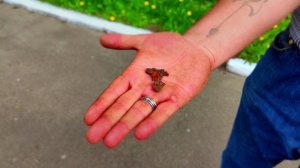 Волноваха 9 мая 2022 - Народы вместе сквозь года!