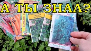 Подзимний посев БЕЗ ОШИБОК🌱🌱🌱❄❄❄