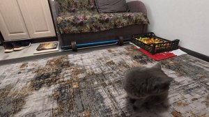 Суп в горшочке и вкусняха из того, что есть