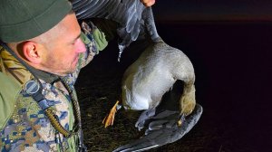 Поехал за Уткой, а добыл Гуся. Охота поздней осенью 2025г.