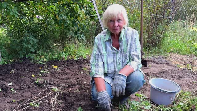 ДАЧНЫЙ ВЛОГ!ДИМОЧКА И МАМЕНЬКА СОБИРАЮТ УРОЖАЙ.