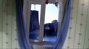 Краснодар.Дом вверх дном