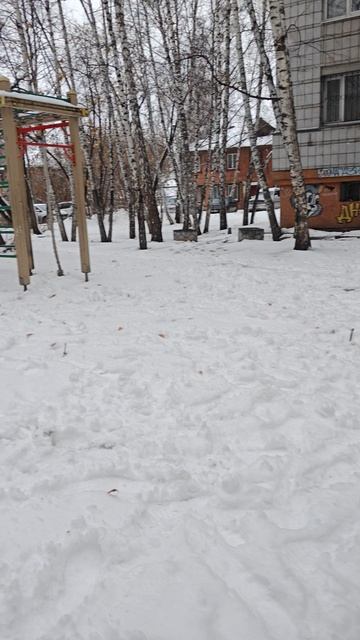 будет ролик смотреть онлайн