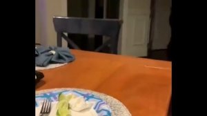 Косячные коты