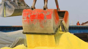 Правительство временно запретило вывозить из России некоторые виды серы