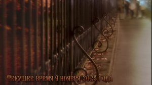 Текущее время 9 ноября 2025