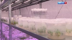 8.00 - «Вести.Юг». от 09.11.2025г.