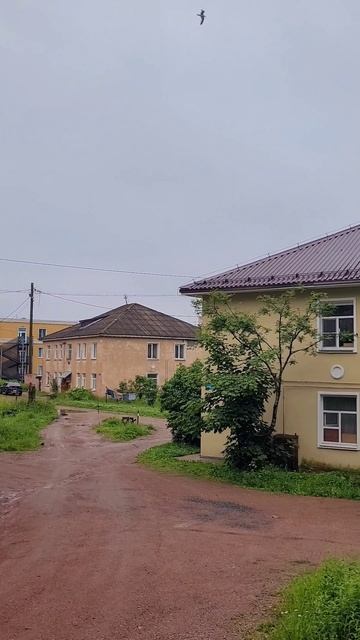 Карелия 2025. Питкяранта. Июль 2025г (Часть 5) смотреть онлайн