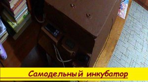 Самодельный  инкубатор