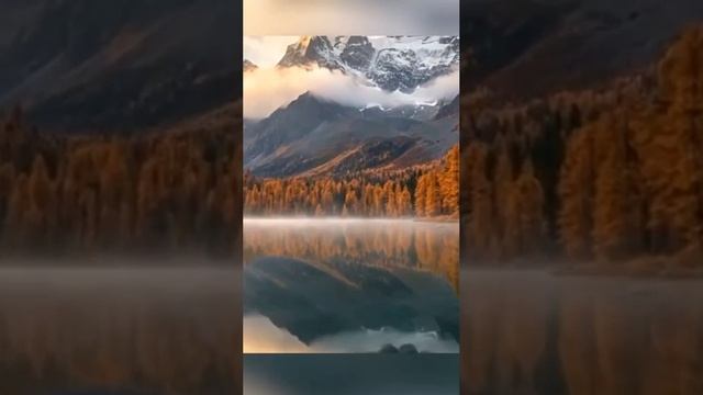 Не трогайте Россию, господа!