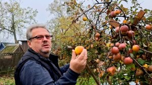 870 Всё Уехали в Краснодар. Наконец мы Дома.