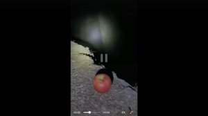 Еше кото гусеницы