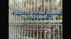 Радости что мы живем, не скучаем. 2025 осень