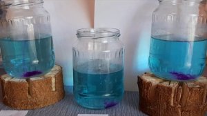 КорБио (корректор биополя) Додонова по доктору Левченко. Влияние на перманганат калия в воде.