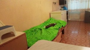 Доброе утро 🤗