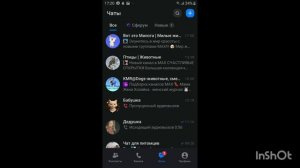 домашние животные