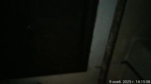 09.11.2025 музыка с часу до трёх КВ 4. Результат деятельности полиции. Оренбург.