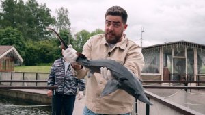 Гастротур: Санкт-Петербург