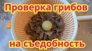 Как с помощью луковицы,проверить грибы на съедобность.