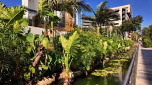 🌆 Рабочий Тель-Авив: тур по ритму жизни Израиля 2025! ✨