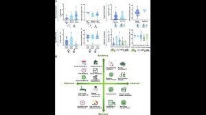 Фитнес-перекусы: Как 10 минут активности в день заменяют час в зале (Научный консенсус 48 ученых)
