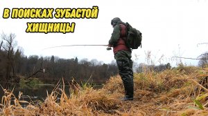 «Поклёвка на МЕЛИ — щука вылетела как торпеда!»