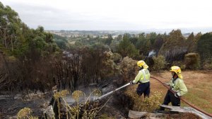 Национальный парк, где снимали "Властелин колец", горит в Новой Зеландии