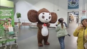 Пополнение в нашем фонде))Чебураха😲