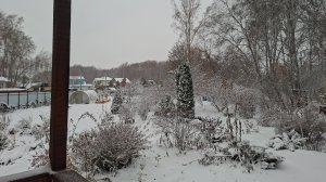 Почти зима. Сад-огород в ноябре. Видео с веранды