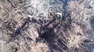 Разведчики "Южной" группировки войск ликвидировали под Северском группу диверсантов ВСУ из 4 человек