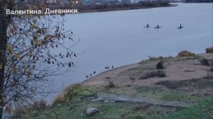 Завтрак. Набережная. Покупки. Эпизоды моих дней.