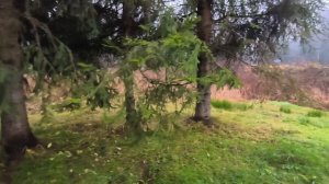 поездка вокруг озера Ильмень.